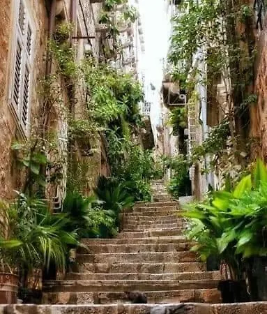 Blue Dreams Appartement Dubrovnik