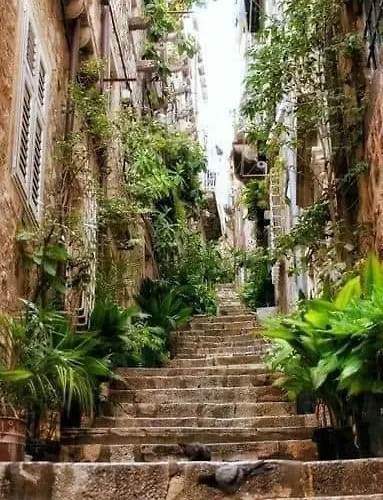 Blue Dreams Appartement Dubrovnik